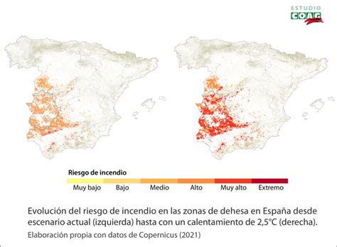 Cambio Climático Aumentará El Riesgo De Incendios A Muy Alto