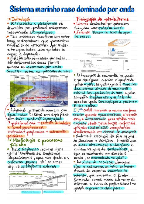 Solution Sistema Marinho Raso Em Ambientes De Sedimenta O Studypool