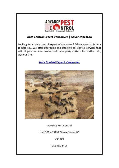 Ppt Ants Control Expert Vancouver Advancepest Ca Powerpoint