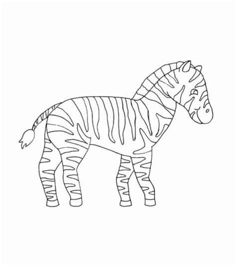 Zebras Para Colorir Desenhos Fofos Para Imprimir Gr Tis