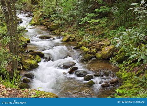 Pretty Mountain Creek In North Carolina In The Springtime Stock Photo