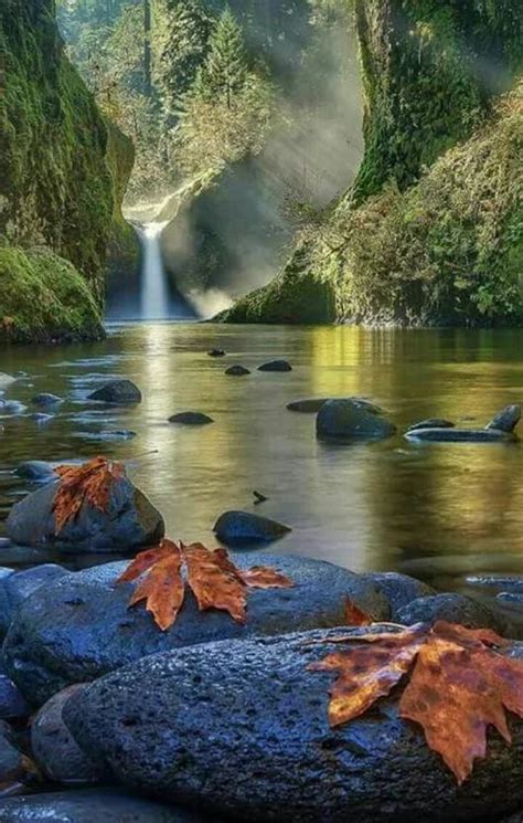 celos Frente a ti Retirada imagenes de paisajes hermosos naturales en ...