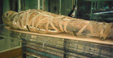 Ancient Egyptian Mummies