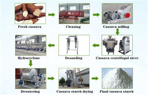 Widely cassava starch uses_Industry news