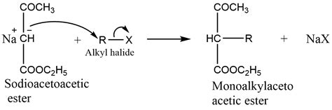 Acetoacetic Ester Synthesis Mechanism And Application Chemistry Notes