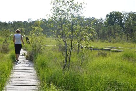 Des balades nature à ne pas manquer cet été dans le Cher Bourges 18000