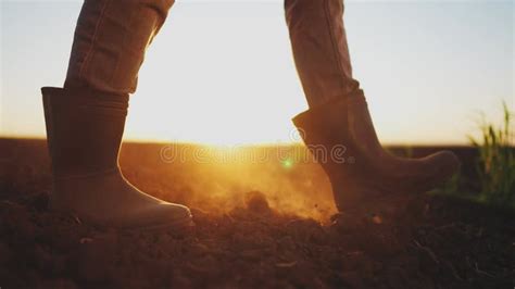 Farmer Feet Walks Across Lifestyle A Black Field Agriculture Business Concept Silhouette Of A