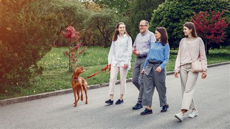 Caminar Al Menos Dos Minutos Despu S De Comer Ayuda A Disminuir El