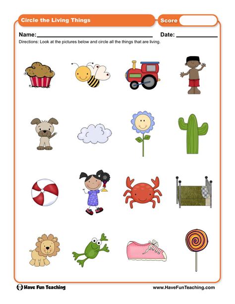 Circle The Living Things Worksheet By Teach Simple