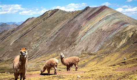 Tour Palccoyo Monta A Arcoiris Palccoyo Cusco Cordillera De Palccoyo