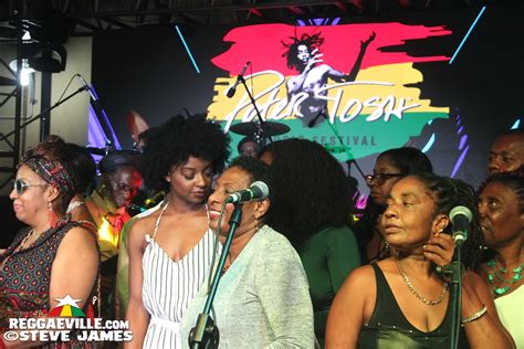 Photos: Peter Tosh Music Festival 2017 - Andrew Tosh, Tosh Family and ...