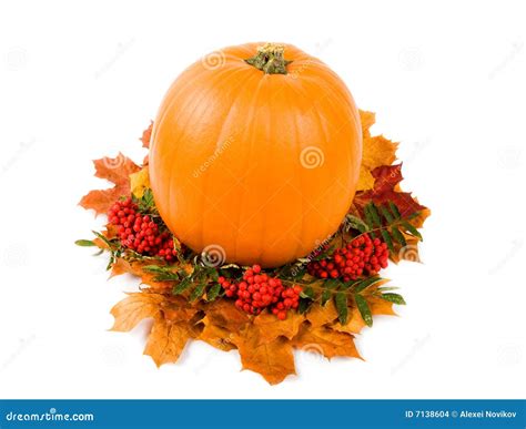 Fall harvest decoration stock photo. Image of garden, festival - 7138604