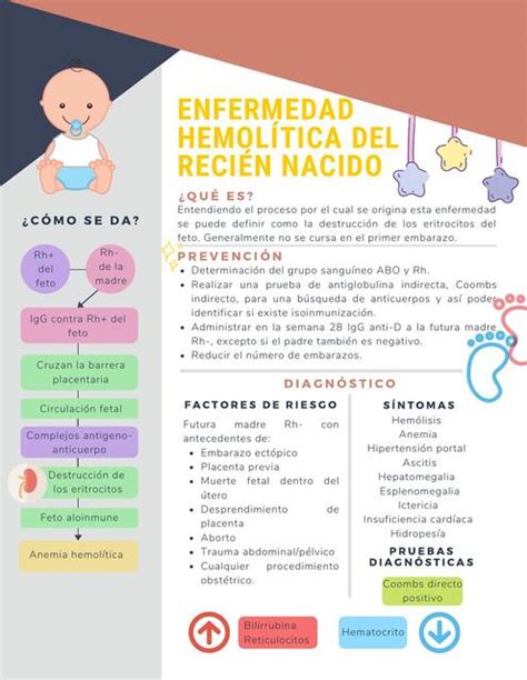 Enfermedad Hemolítica Del Recién Nacido Connoisseurtips