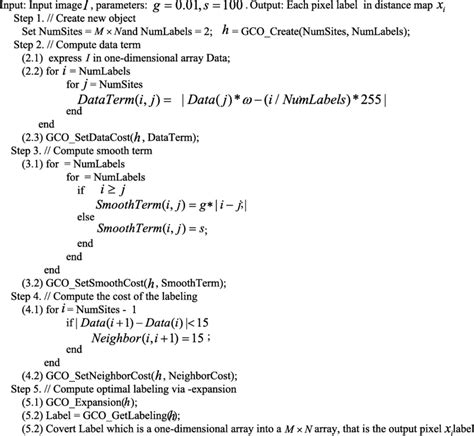 Pseudocode of graph cut optimization on the distance map. | Download Scientific Diagram