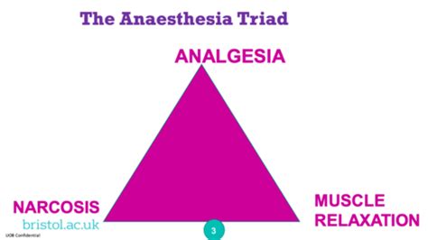 Sequence Of Events The Triad Risks Flashcards Quizlet