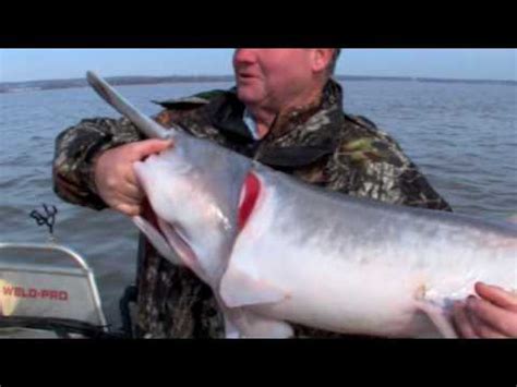 Video 2 Spoonbill Paddlefish Snagging With Dark Tackle