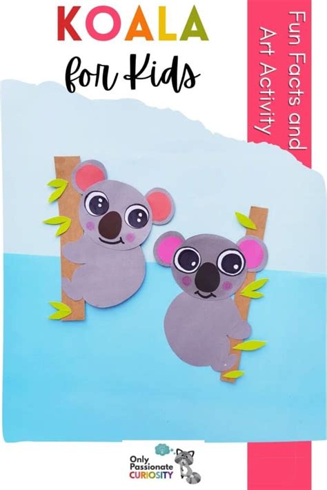 Koala Fun Facts for Kids and Koala Art Activity - Only Passionate Curiosity