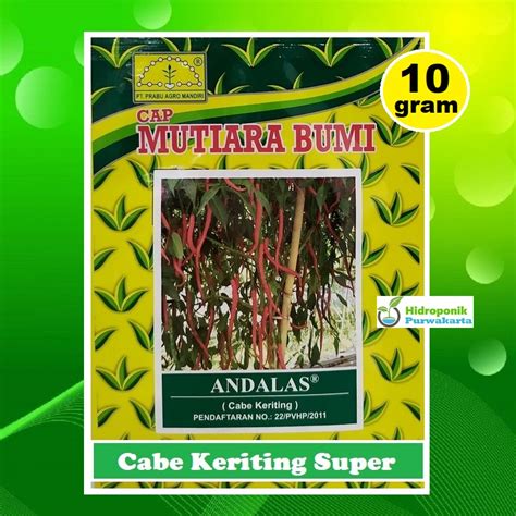 Jual Benih Cabai Cabe Keriting Andalas Isi Gram Cap Mutiara Bumi