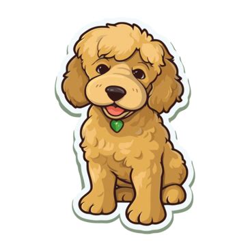 Goldendoodle PNG Images Vecteurs Et Fichiers PSD Téléchargement