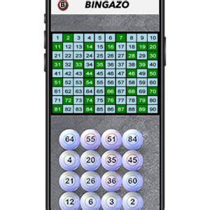 Bingazo Bola Sistema De Gesti N Y Visualizaci N Para Bingo En Vivo