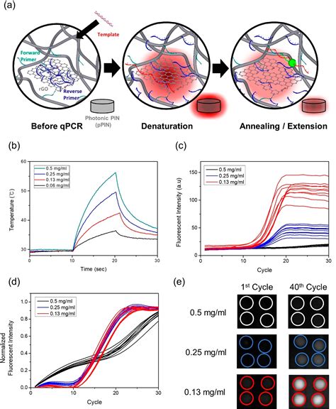 Ultrafast Real Time Pcr In Photothermal Microparticles Acs Nano