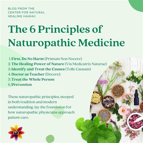 The Principles Of Naturopathic Medicine And Naturopathy Dr Diana Joy