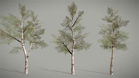 Birch Trees D Model By Nomeda Repsaite Nomedarepsaite Eab D