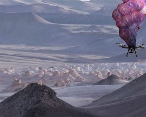 Bio Art Hakkında Bilmeniz Gerekenler - OGGUSTO