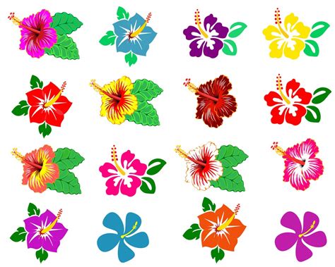 Hibiscus Svg Hibiscus Flower Svg Hawaiian Flower Hibiscus Clipart