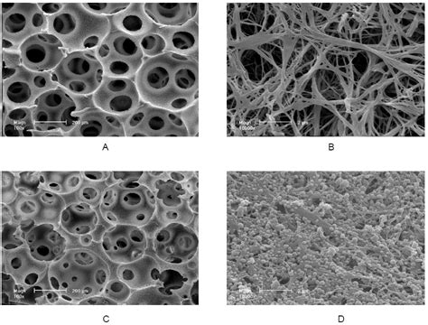 Figure 1 From Biomimetic Materials For Tissue Engineering Semantic