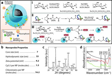 Synthesis and characterization of NPCP-Cy5.5-CTX nanoprobes. Chemical ...