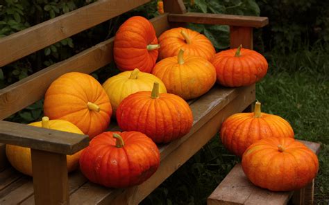 🔥 [40+] Autumn Pumpkin Wallpapers | WallpaperSafari
