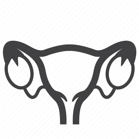 Body Healthy Medical Organ Sex Uterus Women Icon Download On Iconfinder