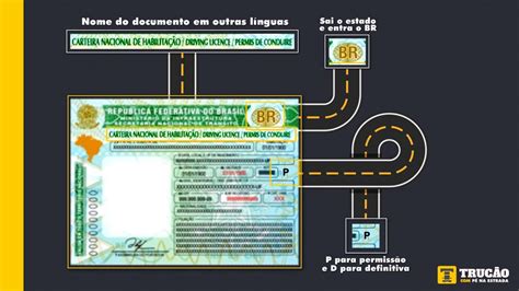 Conheça as características da nova CNH que começa a circular em junho