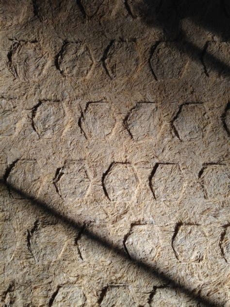 Corn husk, corn cob (Gallery) – Future Materials Bank