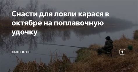 Снасти для ловли карася в октябре на поплавочную удочку | Catcher.fish ...