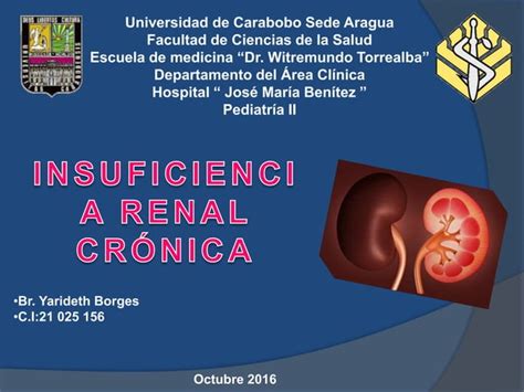 Insuficiencia Renal Cronica PPT