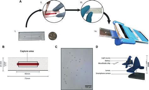 Microfluidic Chip Optical Attachment And Assay Design A The Process