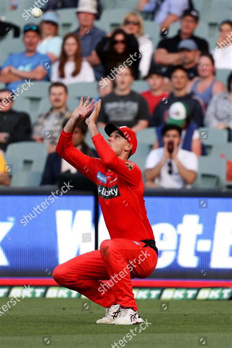 Alex Carey Adelaide Strikers Caught Out Editorial Stock Photo - Stock ...