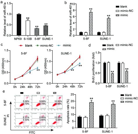 Mir 451a Could Inhibit The Npc Cells Proliferation A Mrna Levels Of