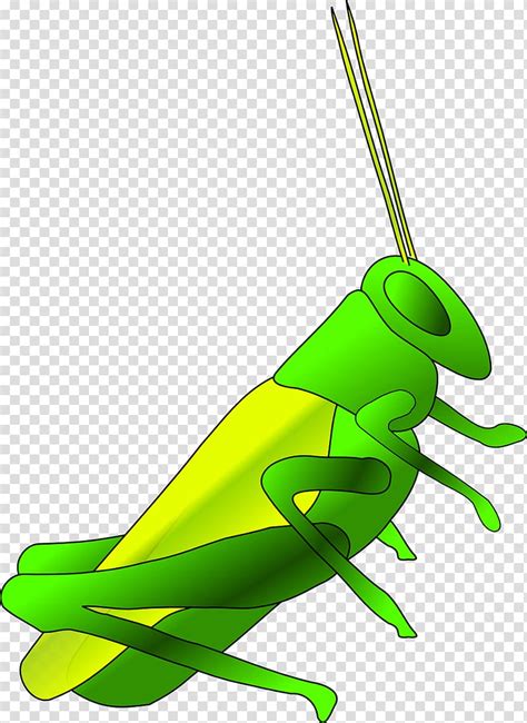 Jiminy Cricket Insect Green Grasshopper Transparent Background Png