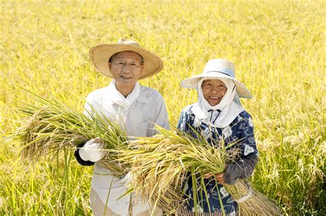 農業の後継者不足について 農業参入のすすめ 副業、起業のすすめ