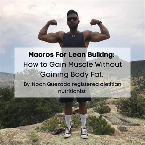 Macros For Lean Bulk How To Gain Muscle Without Gaining Fat