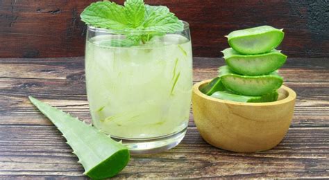 Como Tomar Suco De Babosa - Como fazer suco de babosa? Veja 4 opções para turbinar seu organismo