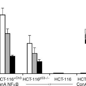 Aspirin Induces Repression Of NFB Driven Transcription In Colorectal