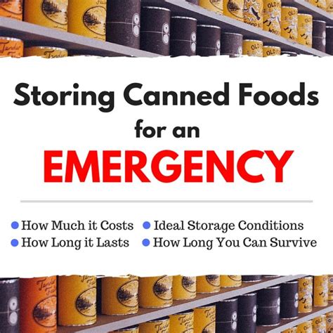 Storing Canned Foods For An Emergency Super Prepper