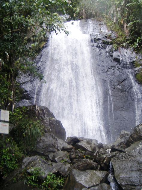 EL YUNQUE NATIONAL FOREST CAMPSITES - Campground Reviews (Puerto Rico)