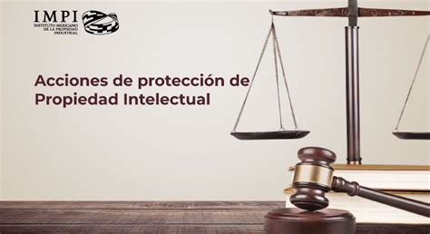 Acciones y procedimientos para la protección de la propiedad