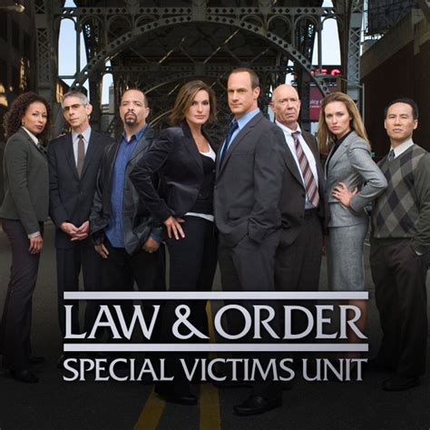 Law & Order: SVU (Special Victims Unit), Season 10 wiki, synopsis ...