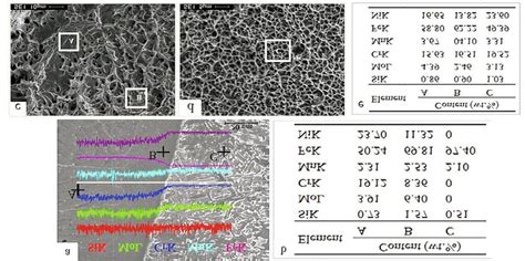 Sem Micrographs And Eds Analysis Results Eds Of The Fusion Boundary